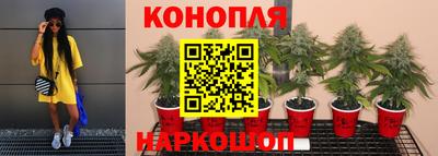 каннабис Гусев