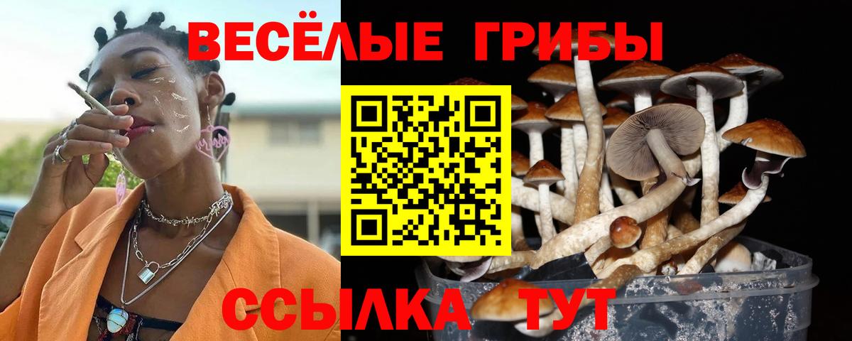 Верхняя Салда  Псилоцибиновые грибы ЛСД  Вход с VPN 